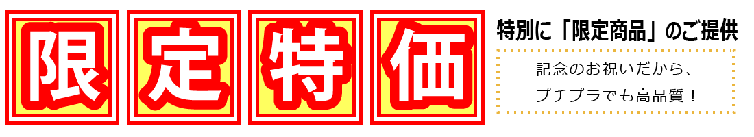 バナー　限定特価、good